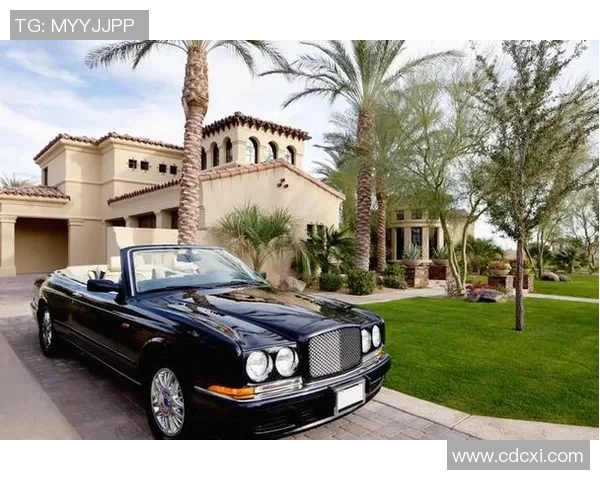 欧美足球明星座驾揭秘豪车背后的故事与风格选择